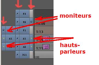 timeline_avid.jpg