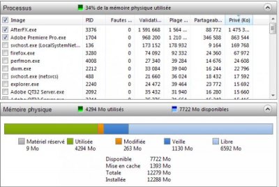 mémoire Adobe.jpg
