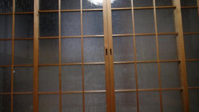 DSC00010v.jpg