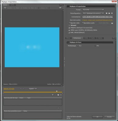 capture_parametres_export_Ppro_cs4_item3.jpg