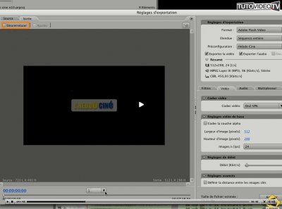 desentrelacement_media_encoder_cs3.jpg