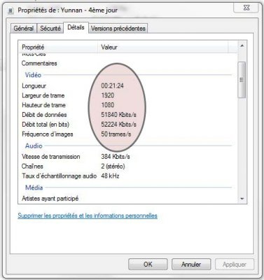 Propiétés fichier vidéo 2.JPG