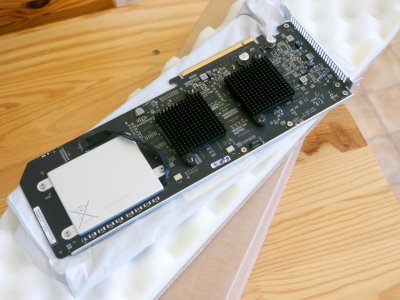RAID_1980648.jpg