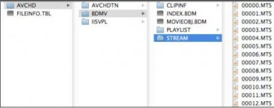SDHC structure AVCHD.JPG
