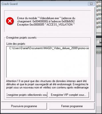 magix-bug.JPG