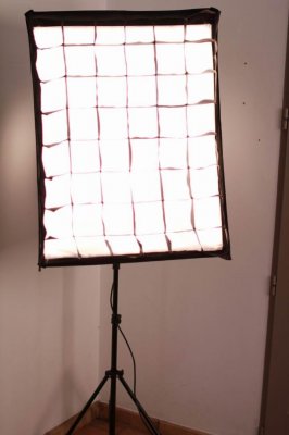 IMG_2303.jpg