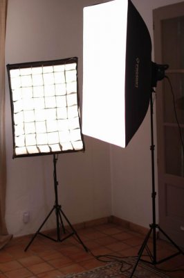 IMG_2306.jpg