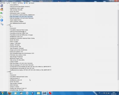 Capture MInf.jpg