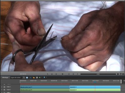 16-9-avchd.jpg
