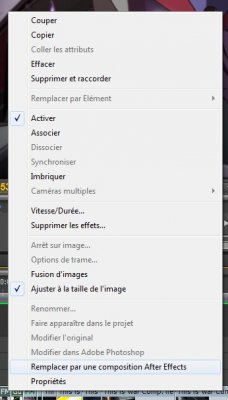 Adobe dynamic link 2.jpg