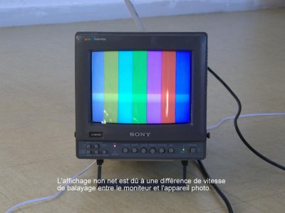 P1070683.jpg