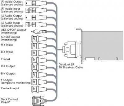 Cable_-_DeckLink_SP.jpg