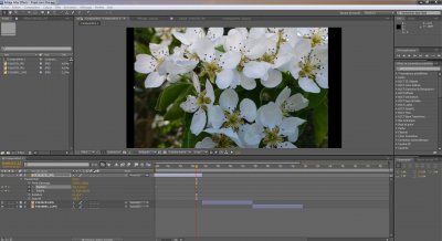 Capture1.JPG