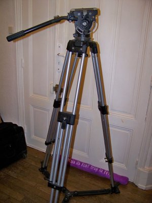 T1-03.JPG