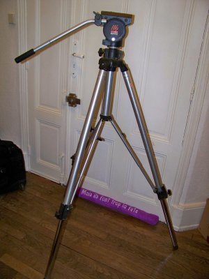 T2-03.JPG