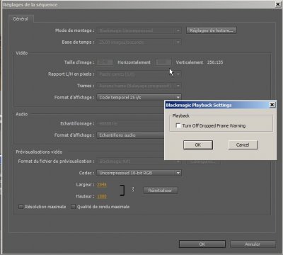Blackmagic Playback Settings.jpg