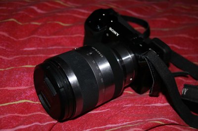 IMG_0263.jpg