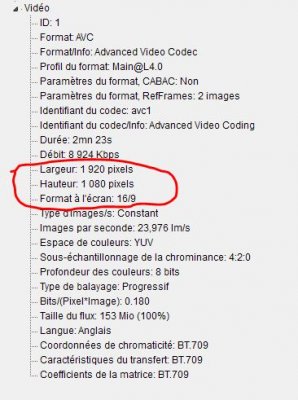 MediaInfo.JPG