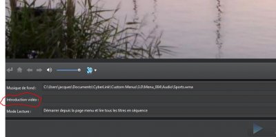 Capture_3.JPG