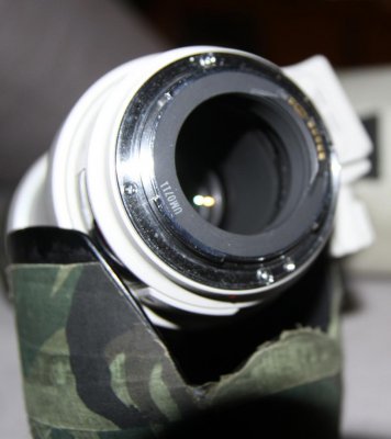 canon 35-350 arr.jpg