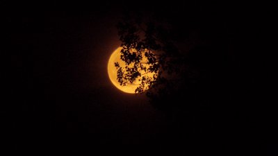 vlcsnap-2014-02-25-12h22m47s28.jpg