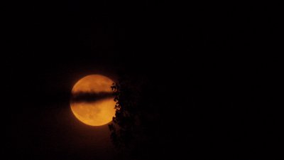 vlcsnap-2014-02-25-12h23m23s128.jpg