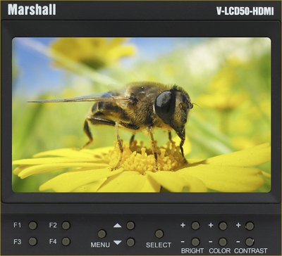 marshall-front.jpg
