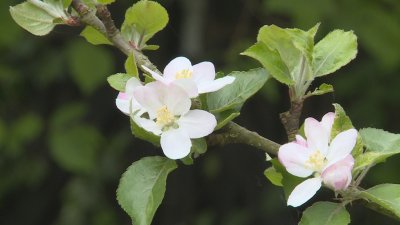 Image6.jpg
