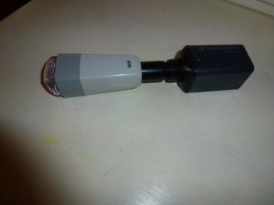 Micro Lem.jpg