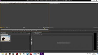 premiere bug.jpg
