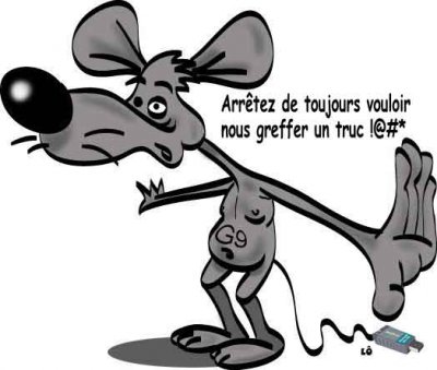 souris.jpg