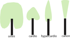 micro-drectionnel.gif