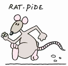 rat-pide.jpg