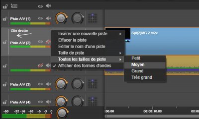 Taille piste.jpg