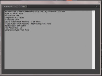 test422bis_1.JPG