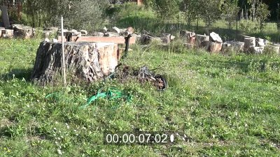 C0003.Image fixe001.jpg