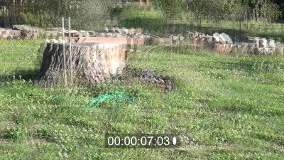 C0003.Image fixe002.jpg