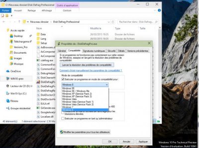 W10_compatibilité.jpg