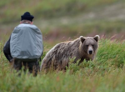 L'ours et moi.jpg