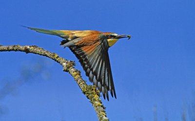 IMG_0094_DxO 2.jpg