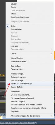 PP_Taille-image.jpg