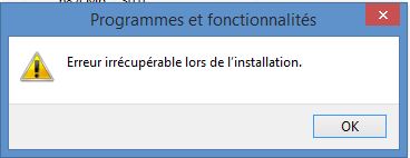 Erreur irrécupérable.JPG