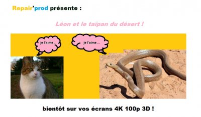 leon taipan.jpg