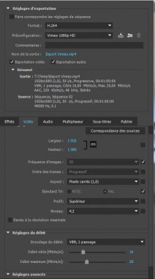 PP_export_vimeo.JPG