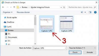 Capture 3.JPG