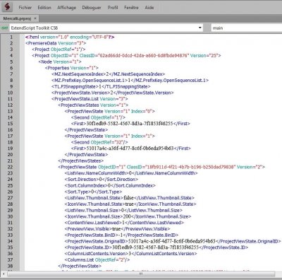 PP_extendScript.JPG