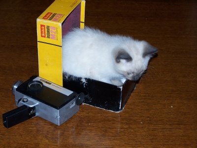 102_4476.JPG