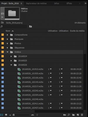 pp_Chutiers-liste.JPG