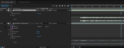 A.E_niveau-audio.JPG