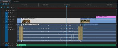 PP_Sons-images clés.JPG